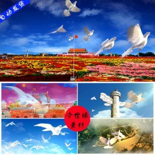 和平鸽飞翔歌唱祖国 中国梦 国庆十一晚会LED大屏幕视频背景素材