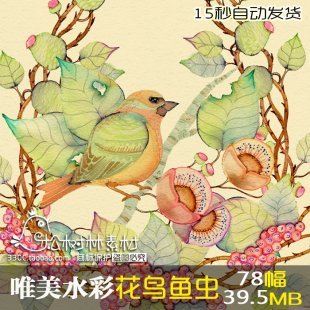 超唯美大师级手绘 小清新水彩国画素材 花鸟蝴蝶花昆虫插画临摹图