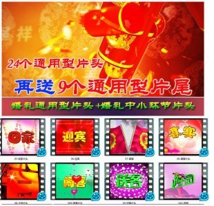 通用结婚庆典婚纱婚礼录像DVD光盘片头片尾视频设计素材会声会影