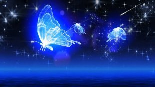 h005唯美星空流星蝴蝶 婚礼LED舞台背景婚庆大屏幕视频背景VJ素材