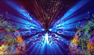 L0552唯美蝶恋花生长花光效梦幻蝴蝶婚礼婚庆LED视频舞台背景素材