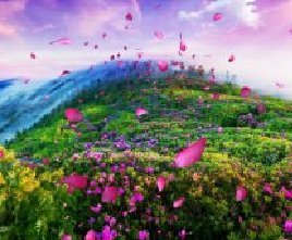 唯美春天 漫山花朵飘飞 婚礼晚会演艺舞台LED大屏幕背景 视频素材