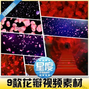 玫瑰花瓣飘落 花瓣雨高端婚庆婚礼舞台LED大屏幕高清背景视频素材