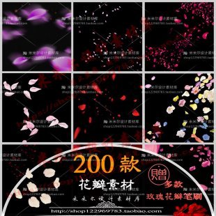 PS花瓣素材/真实飘落飘洒散落玫瑰花瓣PSD/PNG/影楼婚纱照后期