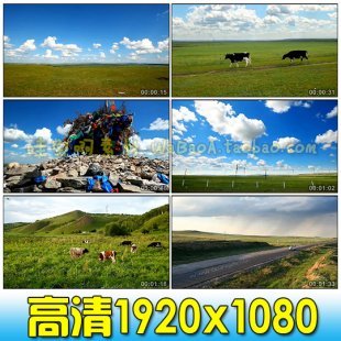 内蒙古呼伦贝尔大草原蓝天白云骏马 高清影视实拍视频素材