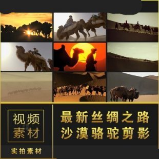 最新丝绸之路 沙漠骆驼队 夕阳下剪影骆驼高清实拍视频素材1.6G