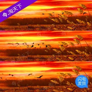LED素材VJ大屏幕舞台视频背景素材 鸿雁大雁飞过芦苇荡夕阳