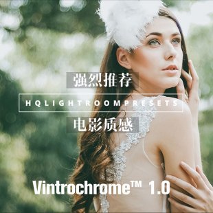2016Vintrochrome 1.0 最新后期复古电影胶片写真质感色彩Lr预设