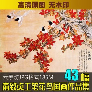 俞致贞作品集 花鸟临摹素材图片 国画工笔重彩 中国画新图库