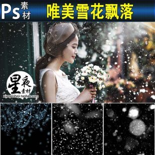 PS雪花飘落素材 PSD源文件笔刷下雪雪粒唯美雪景飘雪背景