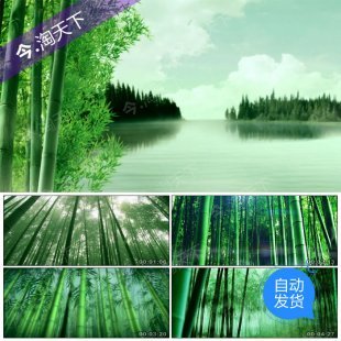 江南竹林背景素材 春天 晚会演艺舞台LED大屏幕背景 VJ视频素材