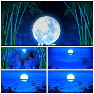 蓝月亮竹林孔雀羽毛星空舞蹈演出 婚礼婚庆LED大屏幕背景视频素材