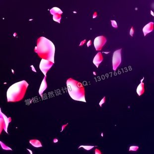 婚庆婚礼大屏幕VJ 唯美玫瑰花瓣 飘落动态 LED视频背景素材Z05