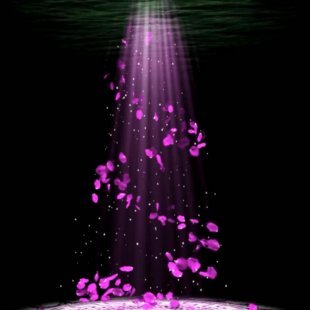 LED大屏高清视频素材婚礼婚庆花瓣飘落飞落舞台晚会动态背景