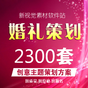 婚庆策划主题婚礼方案酒店草坪婚庆策划书设计主持人司仪资料素材