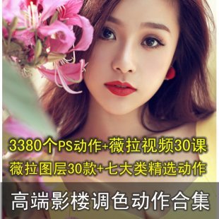 最新影楼后期PS调色图层 调色动作 婚纱摄影薇拉PSD 自动调色工具