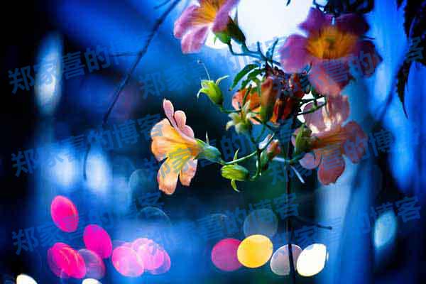 wordpress教程：使用自带smtp发送邮件通知