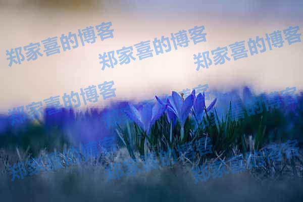 WordPress显示页面查询次数、加载时间和内存占用