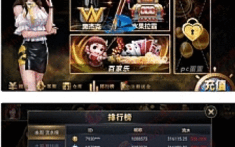 最新更新微星系列海盗王游戏源码