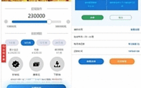 【金融小贷系统】最新学习版金融小贷程序/贷款源码/服务器打包完整版