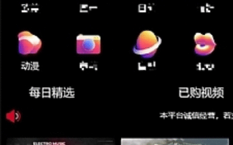 最新UI包天付费视频打赏系统源码 带包天+可扣量+代理