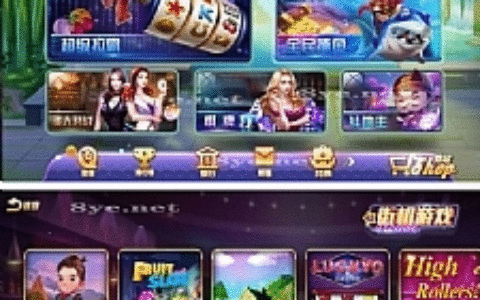 【傲玩之超级大爆分版】八月最新傲玩氪金紫衫版/绝对完整组件双端APP齐全/机器码工具/有加密/有授权