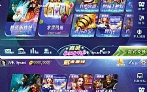 【傲玩氪金之紫衫版】八月最新傲玩氪金紫衫版/zz工具4.0有加密/有授权