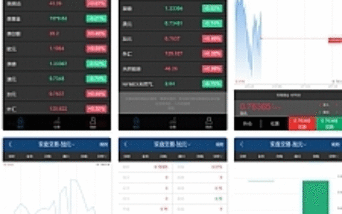 【外汇币种点位盘 / 原油黄金猜涨跌】新版外汇 / 币种 / 原油 / 黄金 / 能源点位盘 K线正常 / 实名认证