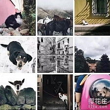 韩松手机摄影系列课程 零基础学手机摄影(30节课)