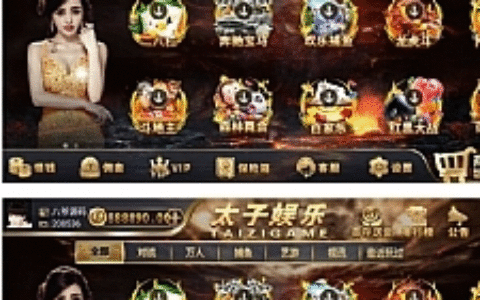 最新更新思博二开太子娱乐完整服务器打包数据+双端app完整