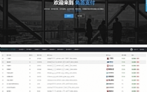 最新能运营的的支付宝支付源码_支付宝包装网银/支付宝网银/支付宝网关软件/PC端监控