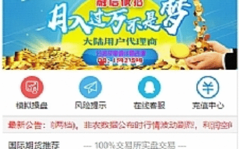 最新更新富盈国际微盘点位盘yii高端系列+国内国外期货盘+带直播页面+完整数据