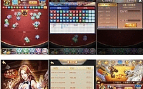 【龙虎美化版】九月最新H5环球娱乐上庄龙H俊飞版完美运营版服务器打包全解密源码+对接免签支付接口