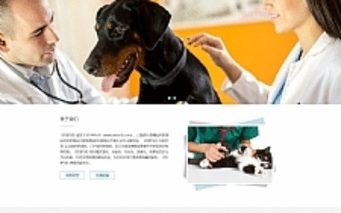 青色宠物医院网站源码 织梦dedecms模板 [带手机版数据同步]