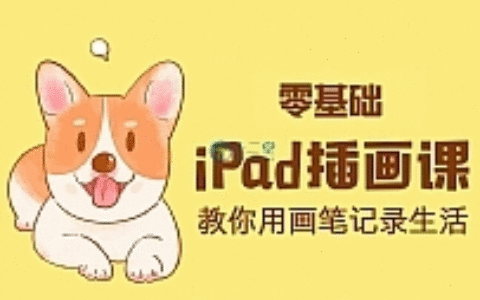 ipad手绘插画零基础课 ipad上学习绘画教程