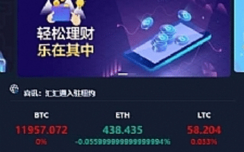 USDT虚拟币排单完整源码_汇汇通区块源码带微盘K线 _带充值接口