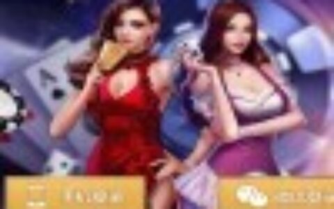 【商业源码】最新更新全游戏28游戏神兽大厅+带机器人+完整组件+全控