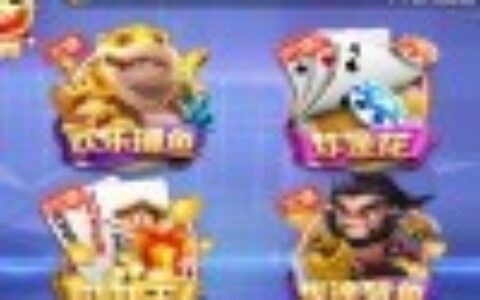 【商业源码】潮人娱乐国外运营团队产品+完整组件数据