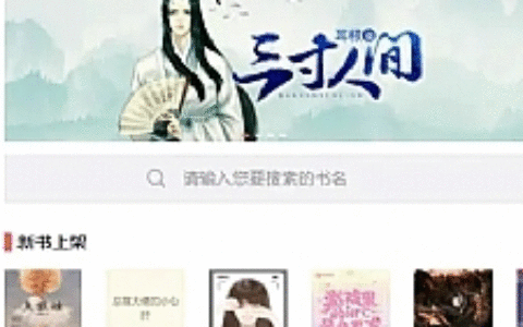 【亲测源码】11月最新小说站源码/带采集/带会员机制/带收费机制