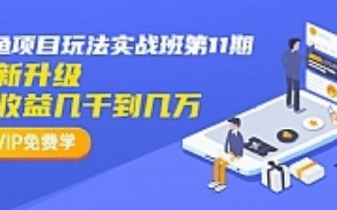 龟课最新闲鱼项目玩法实战教程_全新升级月收益几千到几万