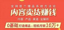 内容卖货赚钱最新教程_0基础打造卖爆品，每月轻松躺赚10w+