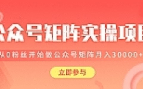 公众号矩阵实操项目最新教程_教你如何从0粉丝开始做赚钱的公众号矩阵，月入3W+
