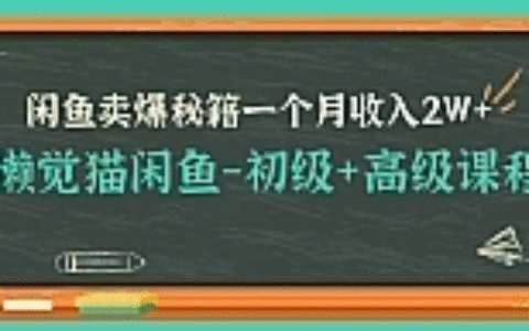 懒觉猫闲鱼最新教程_闲鱼初高级课程卖爆秘籍，让你月收入2W+（完结）