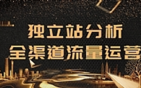 2020跨境电商最新运营教程_手把手教你分析运营独立站精细化流量