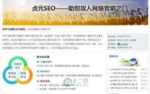 SEO服务公司网站源码 织梦CMS模板+网络设计推广企业网站+搜索引擎优化企业