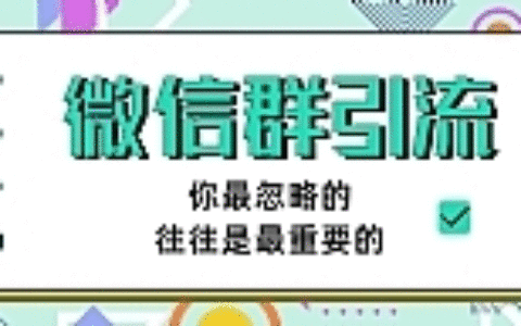胜子老师引流最新教程 微信群引流自动变现（共三节视频）