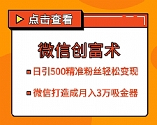 微信创富术最新教程 日引500精准粉丝打造成月入3万的吸金器