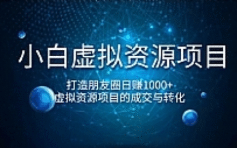 小白虚拟资源项目最新教程 通过虚拟资源项目的成交与转化，打造朋友圈日赚1000+（完结）