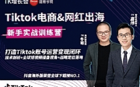 最新Tiktok海外短视频新手实战教程_0基础学习抖音国际版获取百万播放量（完结）