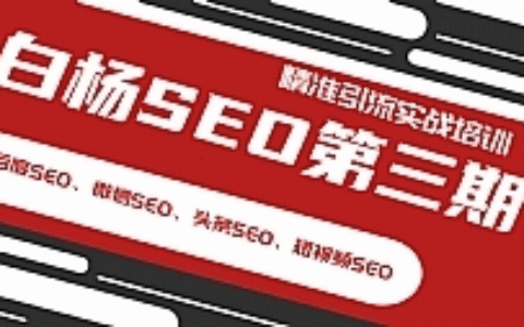 最新白杨SEO精准引流实战教程 百度微信头条短视频SEO